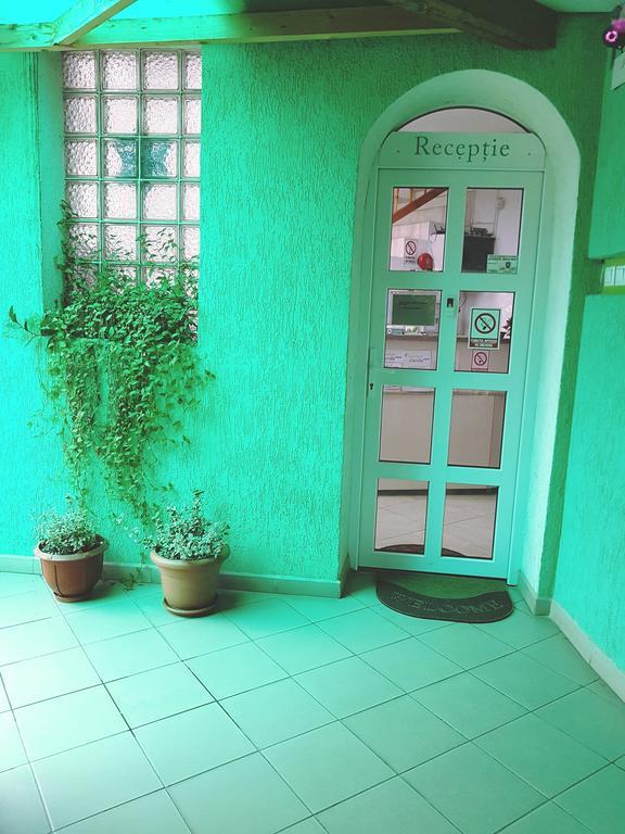 Pensiunea Verde Kluż-Napoka Zewnętrze zdjęcie